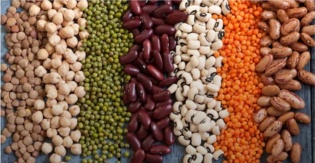 A selection of lentils, chickpeas, peas and beans